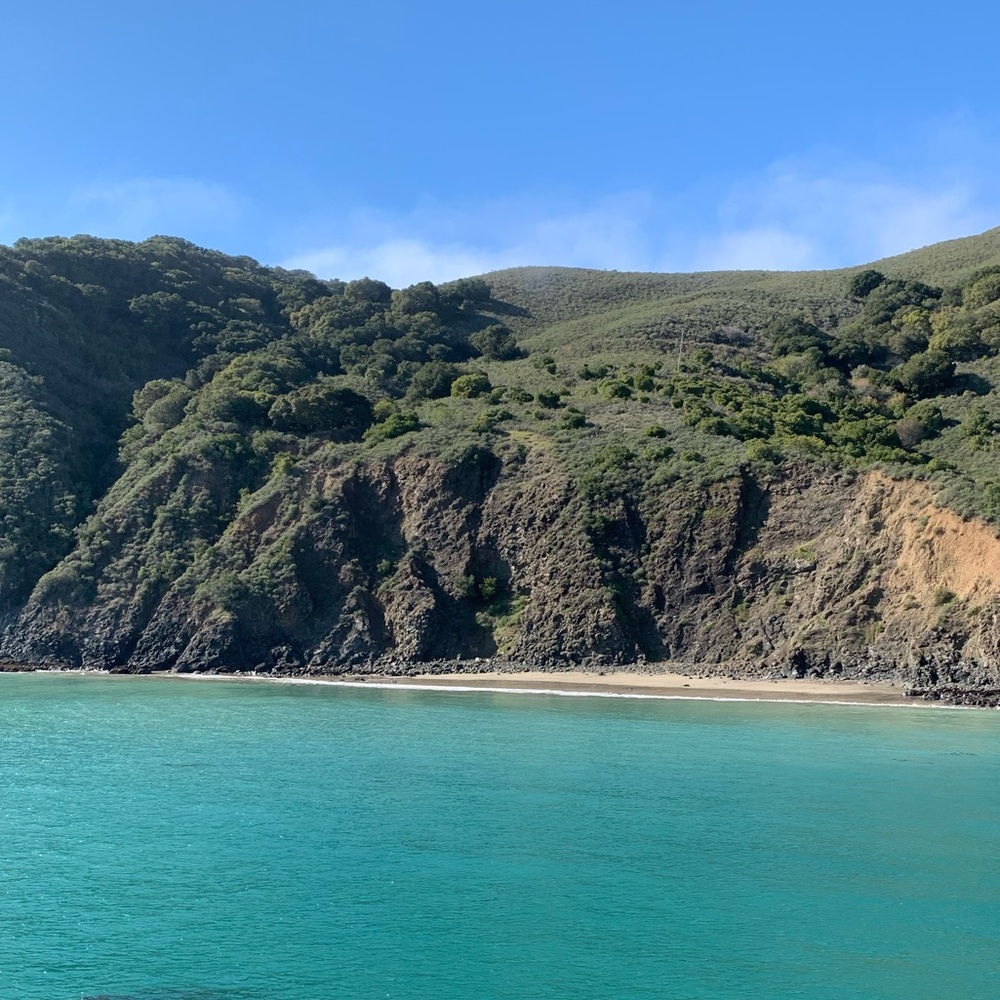 Meet your Posher, Dianne